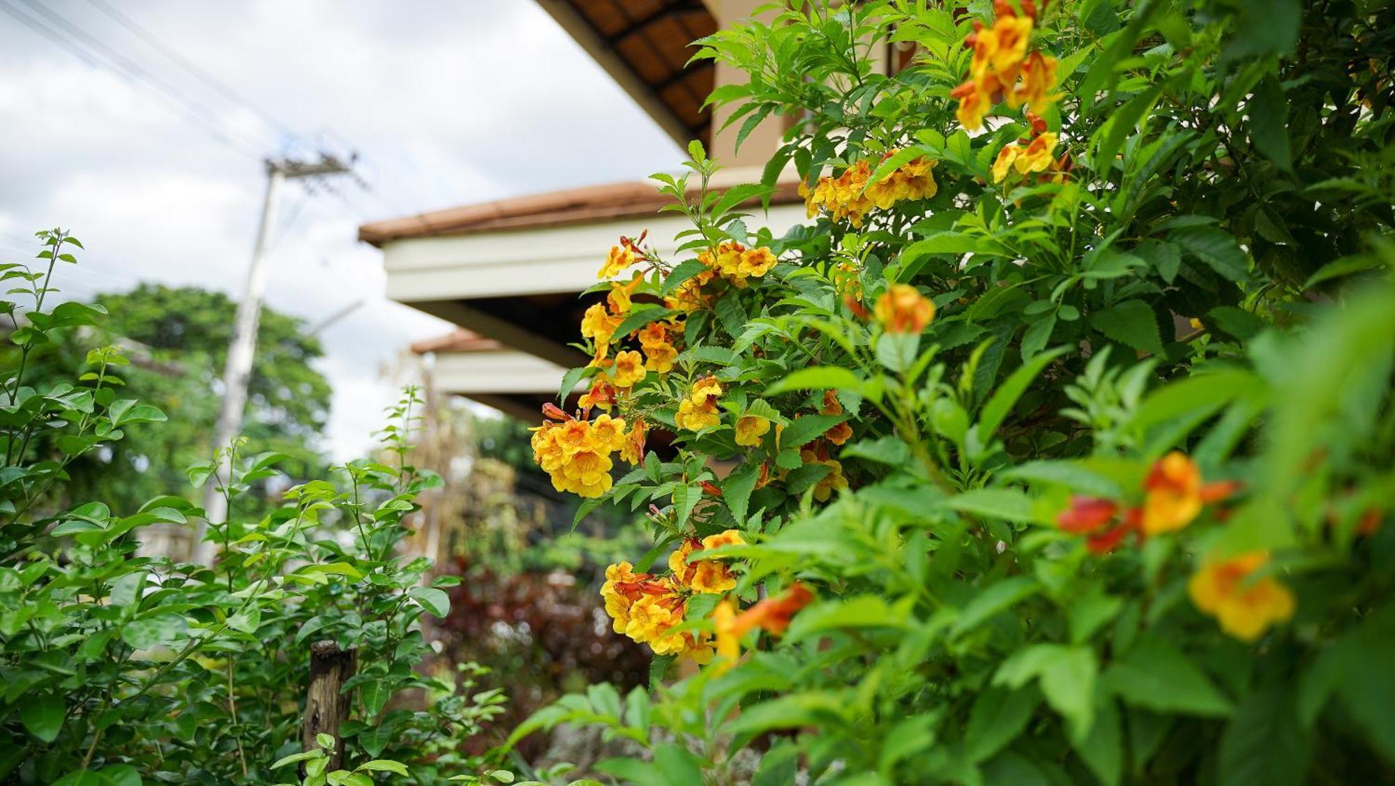 Laph Kham House Aparthotel Chiang Mai Exterior photo